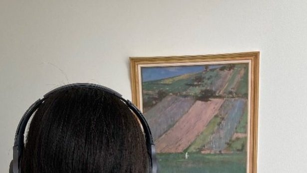 Identifying Visitor’s Paintings Appreciation for AI Audio Guide in Museums
